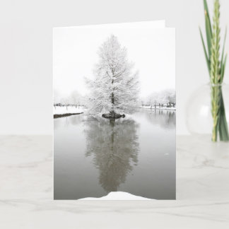 Carte Neige réfléchissante blanche
