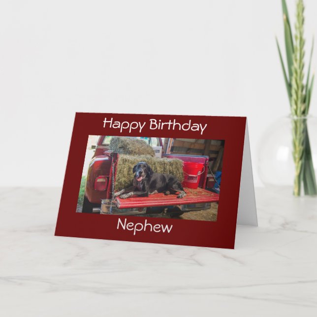CARTE ***NEPHEW*** JOYEUX ANNIVERSAIRE (Devant)