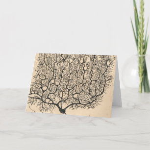 Carte Neuron Drawing By Santiago Ramón Y Cajal