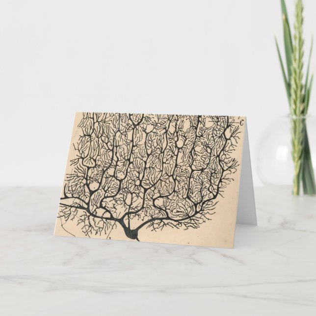 Carte Neuron Drawing By Santiago Ramón Y Cajal (Devant)