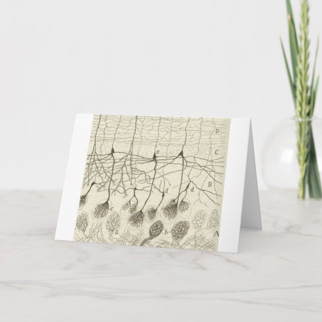 Carte Neurons de Cajal 8 (Devant)