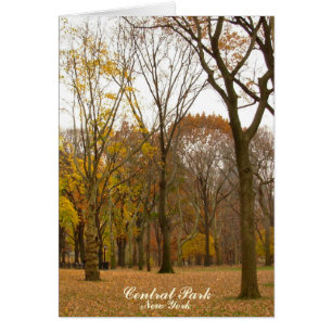 Carte New York Central Park New York Souvenir Card