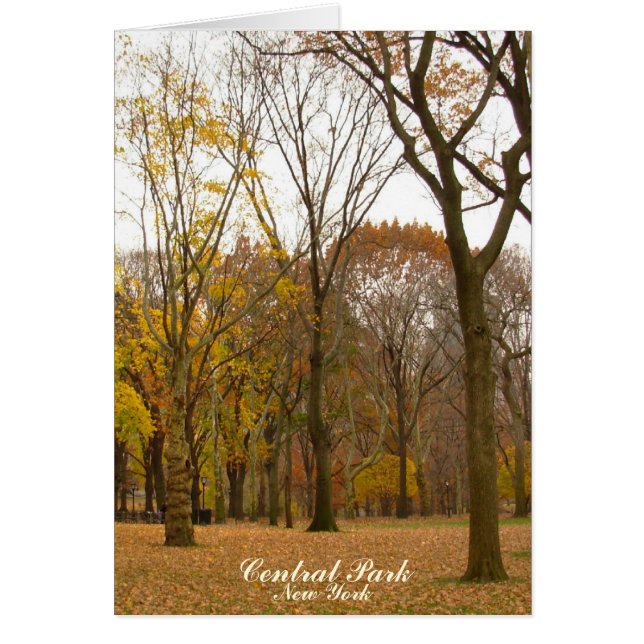 Carte New York Central Park New York Souvenir Card (Devant)