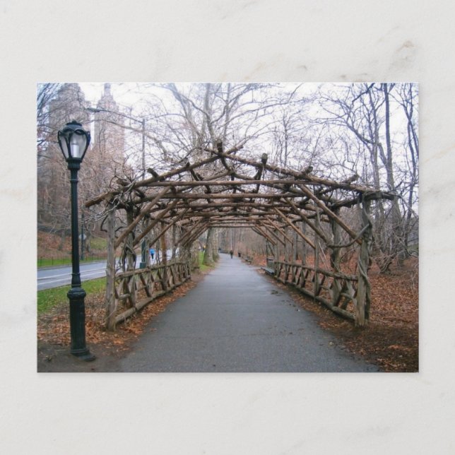 Carte New York City NYC Pergola Winter Central Par (Devant)