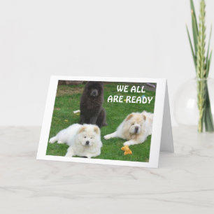 CARTE NEWFOUNDLAND DOGS VEUT DIRE "HEUREUX ANNIVERSAIRE"