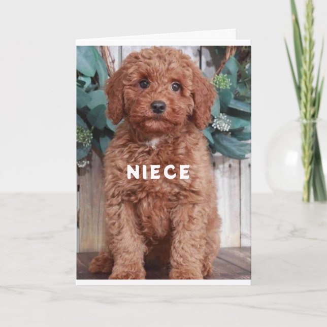 CARTE !** "NIECE*** UNE NUIT SPÉCIALE POUR SA JOURNÉE SP (Devant)
