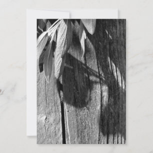 Carte Niveaux de gris en bois de Gris de Grange coupé