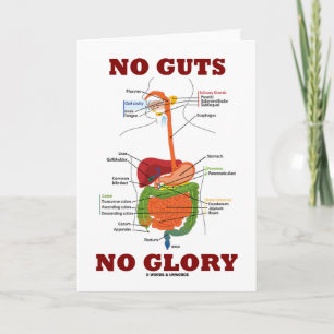 Carte No Guts No Glory
