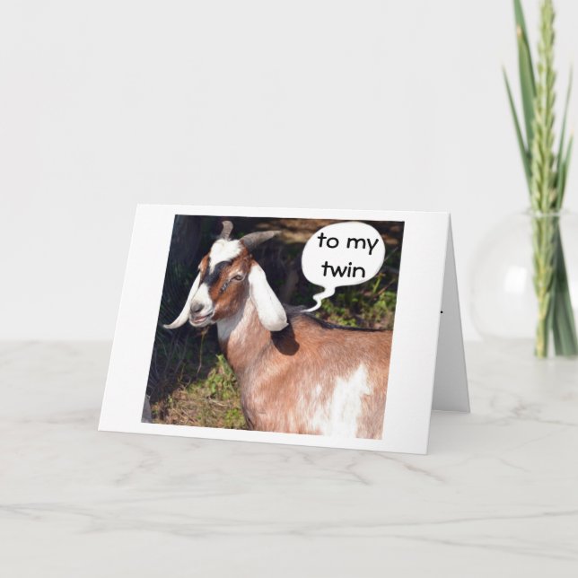CARTE NO KIDDING SAYS GOAT-HAPPY BIRTHDAY TWIN (Devant)