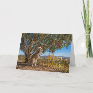 Carte Noël Australien Kangourou Gumtree Boules
