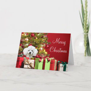 Carte Noël aux canicules blanches