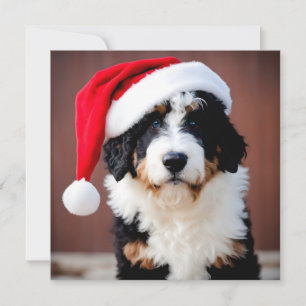 Carte Noël Bernedoodle