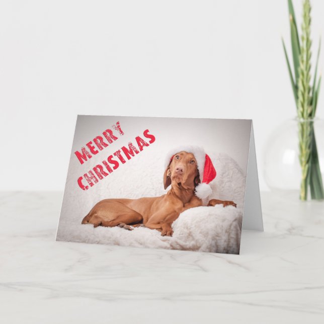 Carte Noël / Carte Noël "Magyar Vizsla" (Devant)