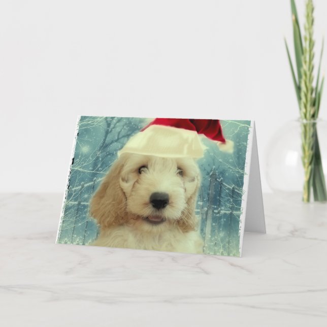 Carte Noël Cockapoo (Devant)