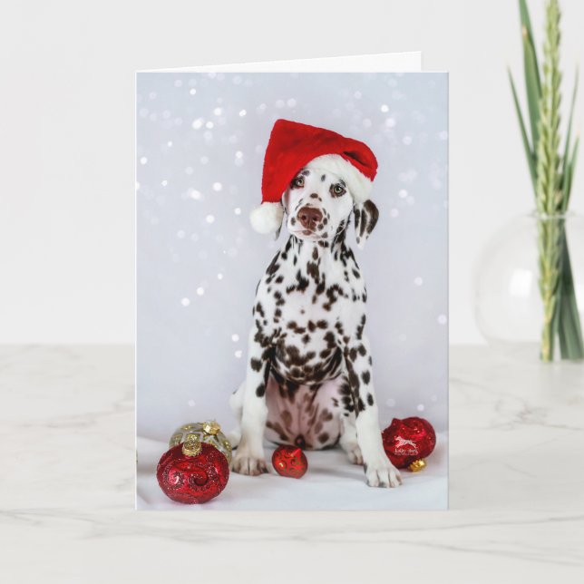 Carte Noël dalmate (Devant)