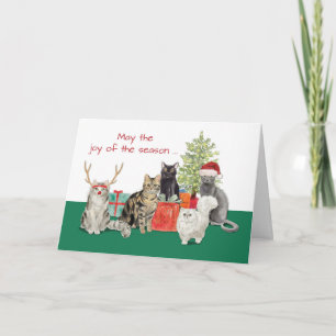 Carte Noël de chat et une meilleure nouvelle année