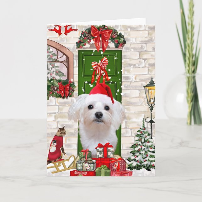 Carte Noël de chien maltais  (Devant)
