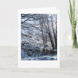 Carte Noël des bois neigeux