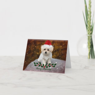 Carte Noël des chiots maltais