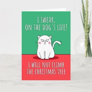 Carte Noël drôle de chat