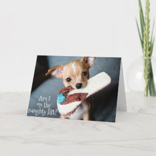 Carte Noël du Chihuahua Chiuppy mignon