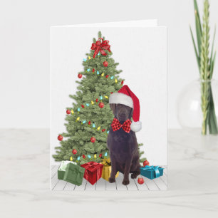 Carte Noël du laboratoire de chocolat