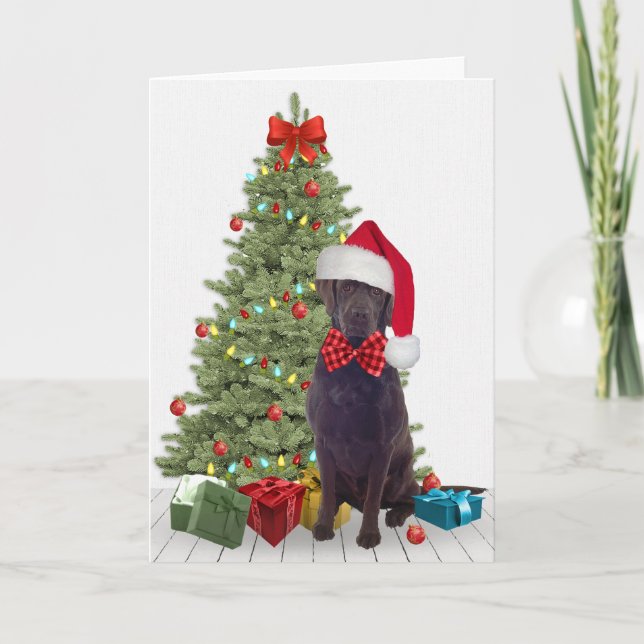 Carte Noël du laboratoire de chocolat (Devant)