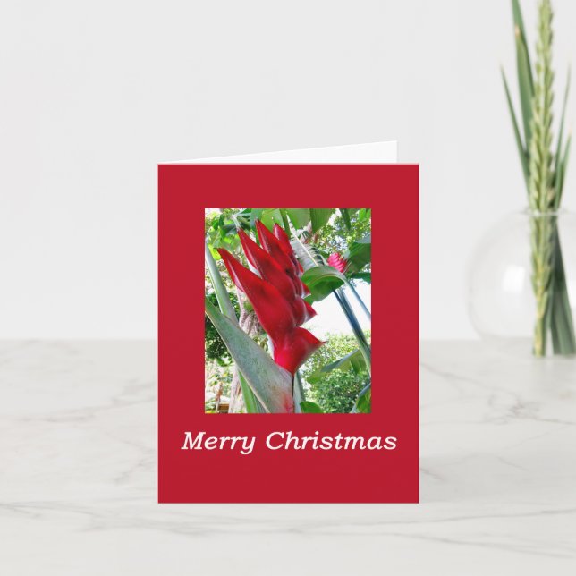 Carte Noël hawaïen (Devant)