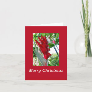 Carte Noël hawaïen