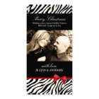 Noël impertinent de zèbre