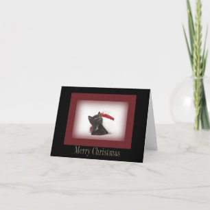 Carte Noël Kitten