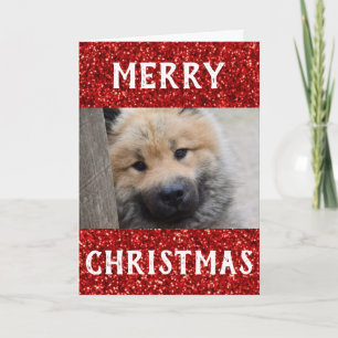 Carte Noël Meilleur chien Maman Jour animal de compagnie