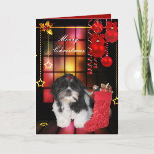 Carte Noël Noël Chien Shitzu Chien Chien Chien Chi
