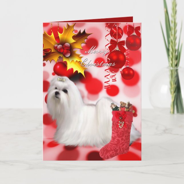 Carte Noël Noël Noël Maltais Chien Chien Coeurs Ch (Devant)