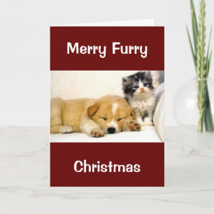 CARTE NOËL POUR CHIEN/GROOMER DE CHIEN/VÉTÉRINAIRE/PLUS