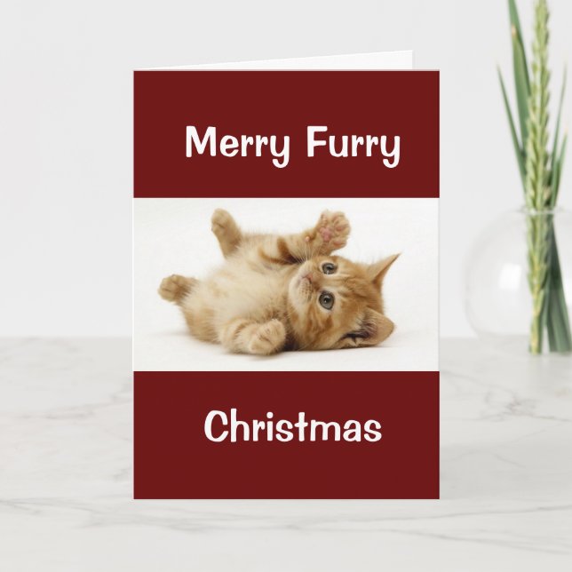 CARTE NOËL POUR CHIEN/GROOMER DE CHIEN/VÉTÉRINAIRE/PLUS (Devant)