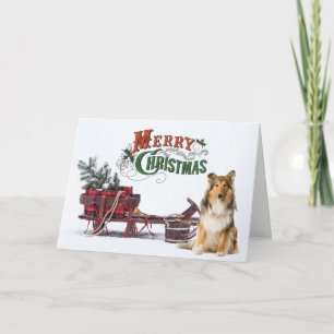 Carte Noël rustique Sheltie