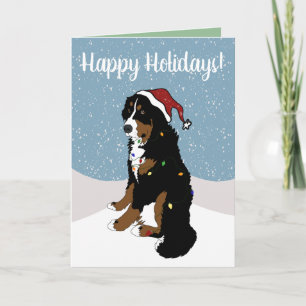 Carte Noël Vacances Bernese Mountain Dog