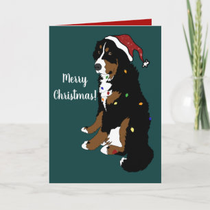 Carte Noël Vacances Bernese Mountain Dog
