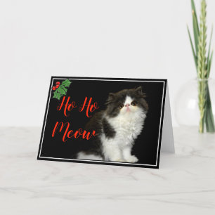 Carte Noël Vacances noir blanc moelleux Kitten