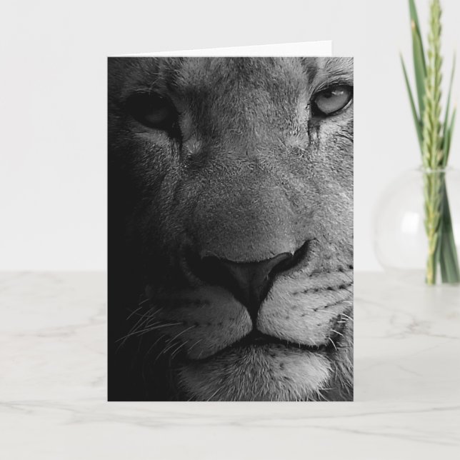 Carte Noir Blanc Motivation Leadership Lion Portrait (Devant)