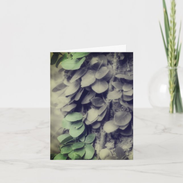 Carte Noir Blanc Partiel Couleur Vin Sur Arbre (Devant)