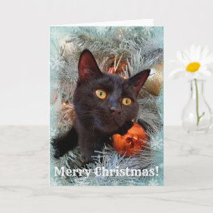 Carte Noir Chat Joyeux Noël