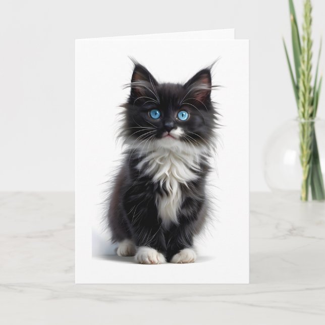 Carte Noir et blanc Long-Haired Cat Bleu yeux vierge (Devant)