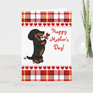Carte Noir et Tan Smooth Haired Dachshund