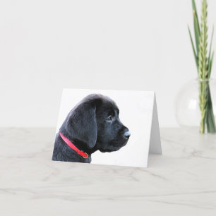 Carte Noir Labrador mignonne Chien mignon Chien mignon C