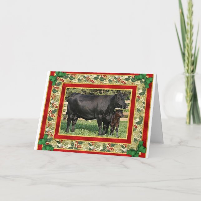 Carte Noir Vide Angus Vache Et Veau (Devant)