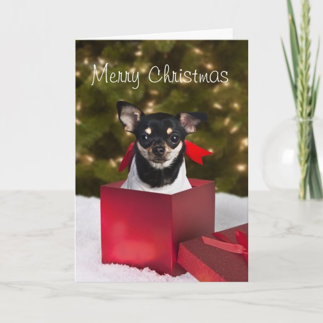 Carte Noire Chihuahua Christmas (Devant)