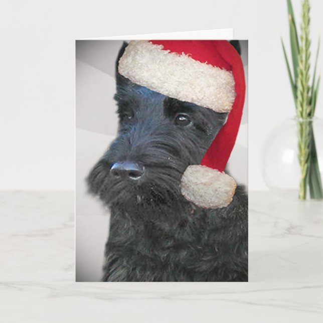 Carte noire de Terrier Père Noël d'écossais (Devant)
