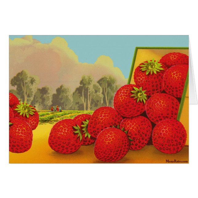 Carte noire Fruit Vintage Fruit Crate Art (Devant Horizontal)